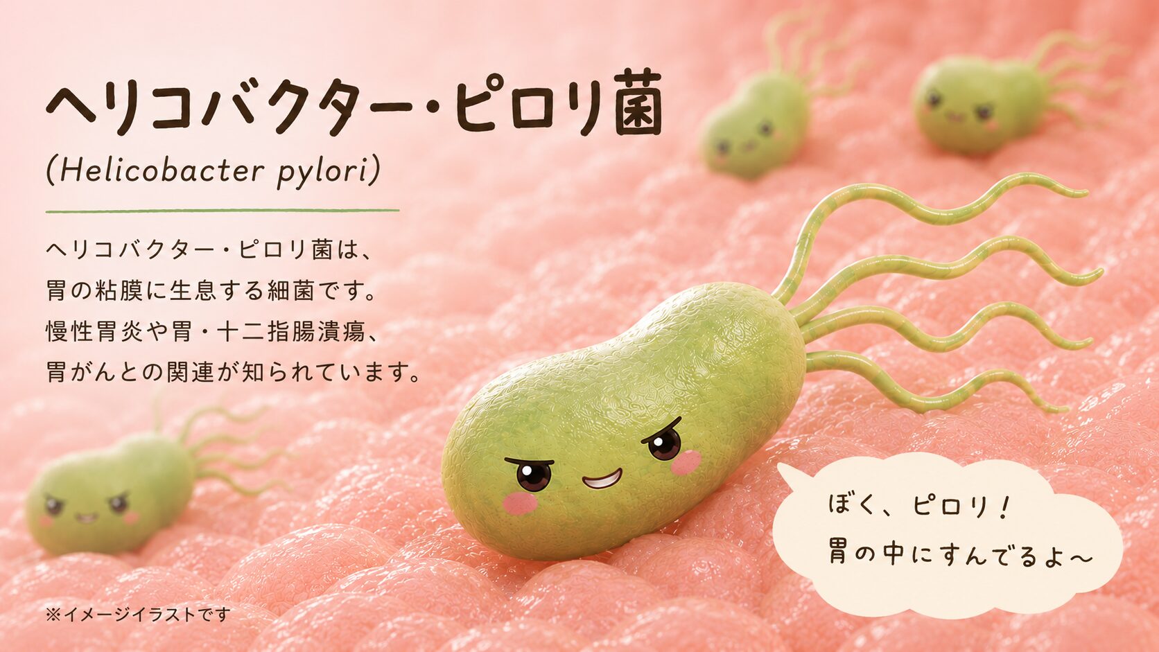 ヘリコバクター・ピロリ菌が胃の粘膜に生息する様子を表したイラスト